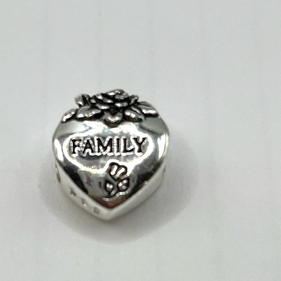 FAMILY Heart love charm Slide style charm! 925  SS European Style Special - Picture 5 of 6